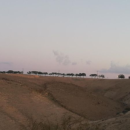 Desert Sunrise Arad Hotell Exteriör bild
